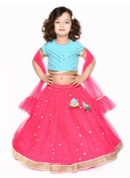 pink-sequined-lehenga-choli-4