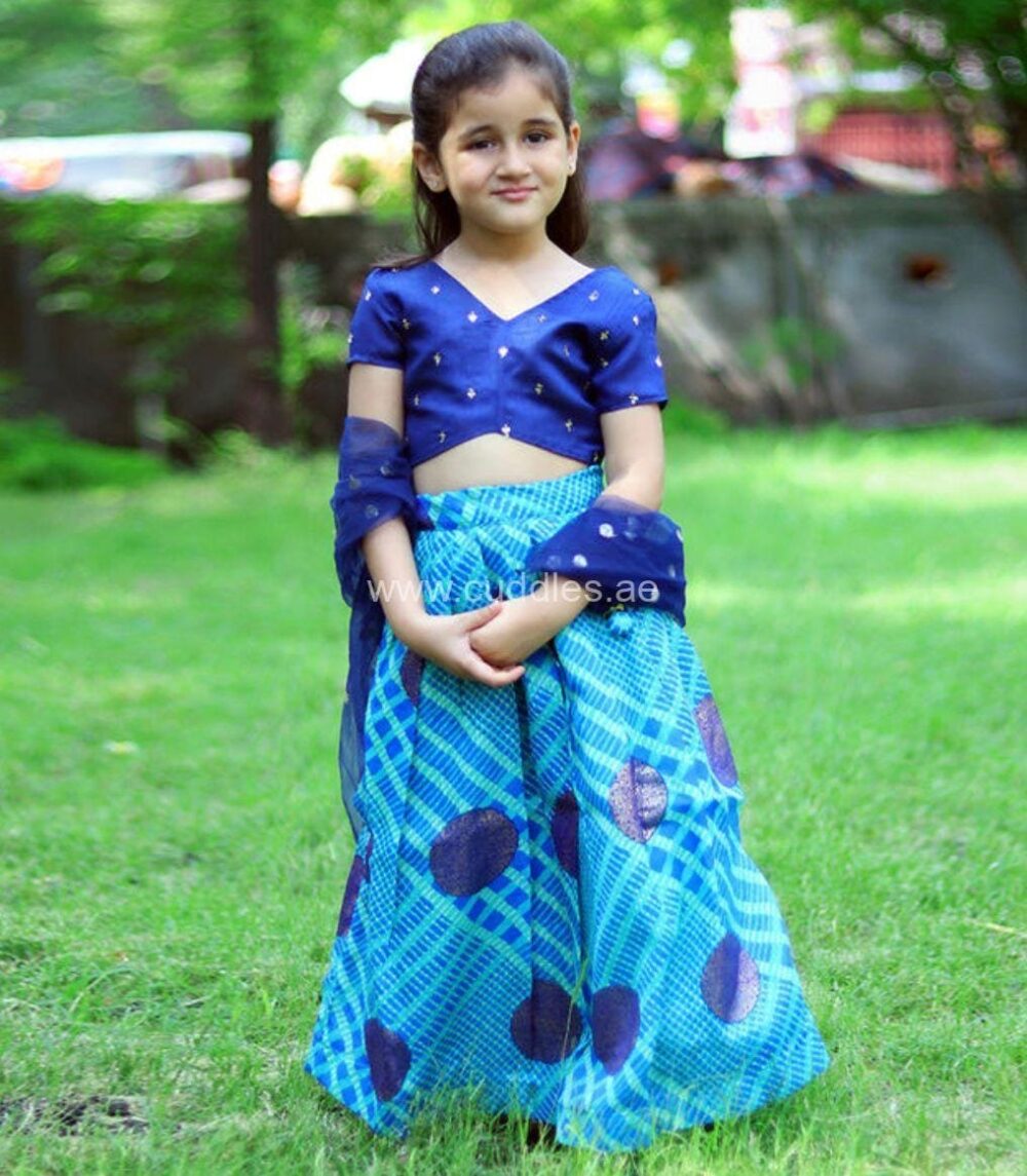 Dark Blue Lehenga Choli with Dupatta