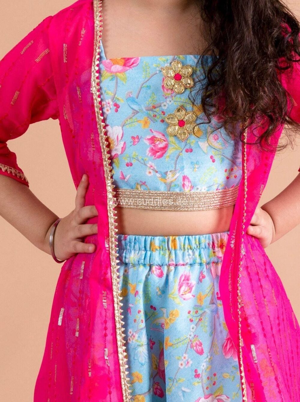 Rani pink and blue floral printed Lehenga Choli set - Image 3