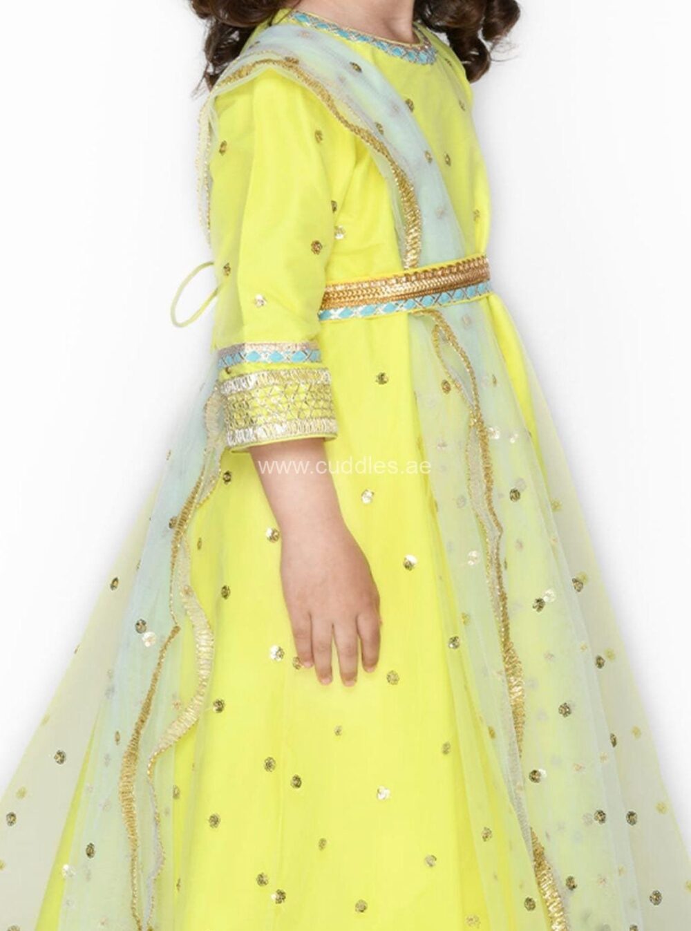 Lime yellow and pastel green beautiful gown dress - Image 3