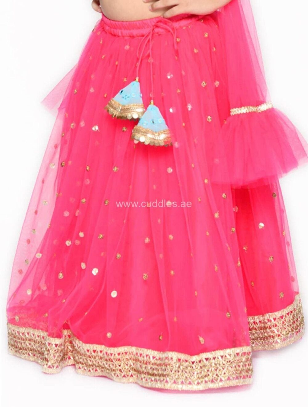 Sky Blue and Rani pink sequined Lehenga Choli set - Image 4