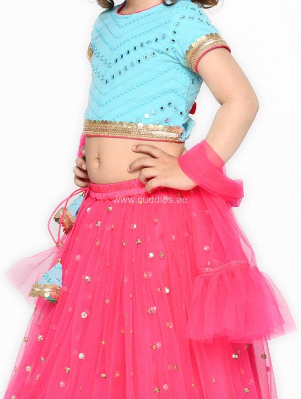 Sky Blue and Rani pink sequined Lehenga Choli set - Image 2