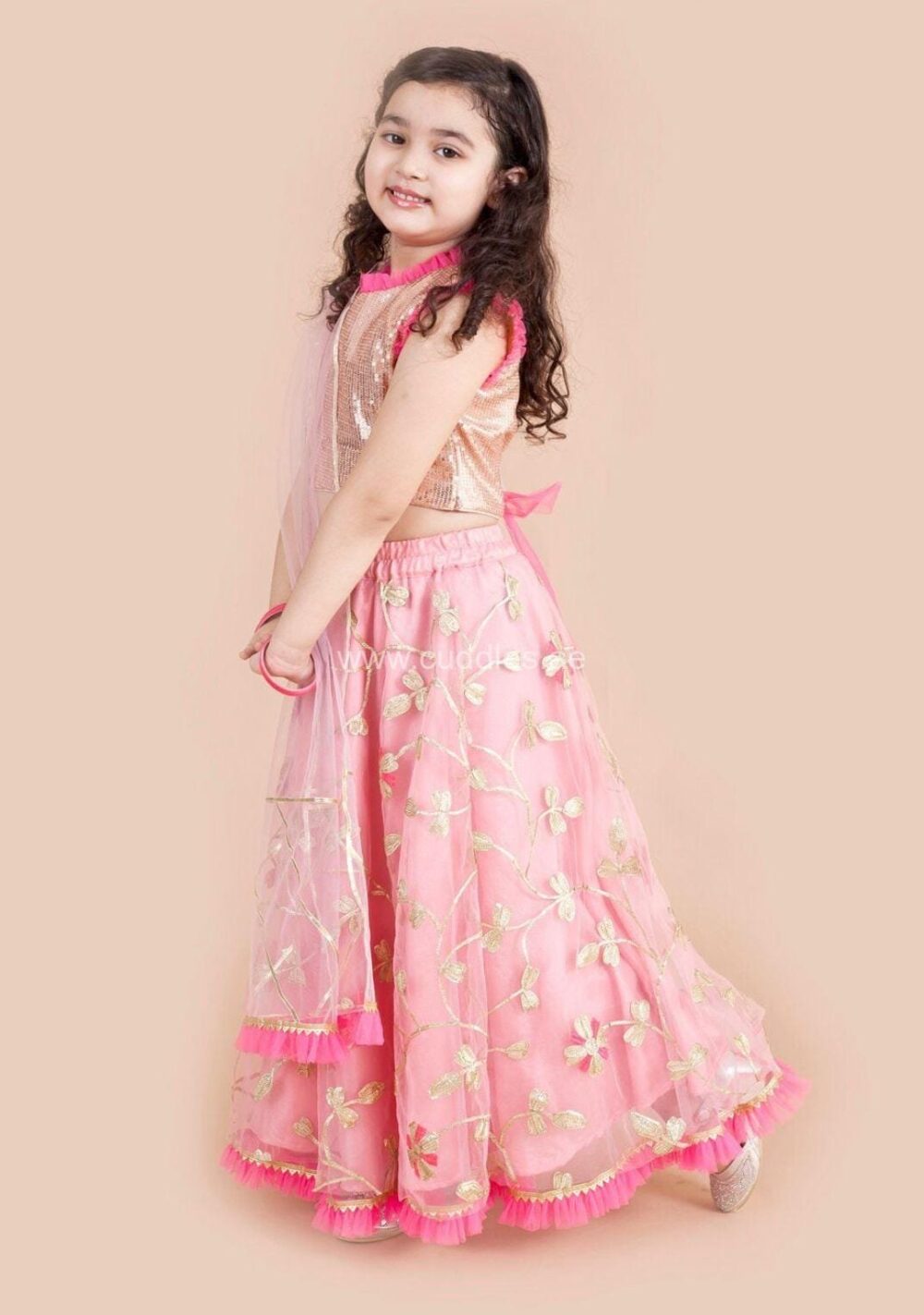 Shimmer Rose gold and Powder pink Sequins Lehenga Choli set - Image 3