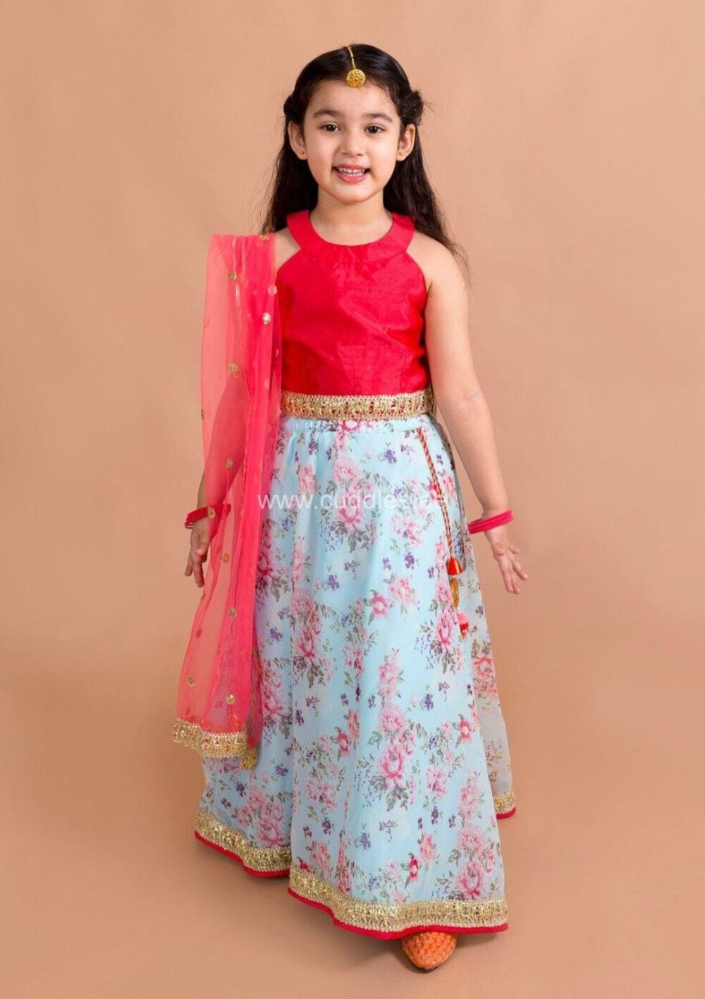 Light blue and Red floral Lehenga Choli set