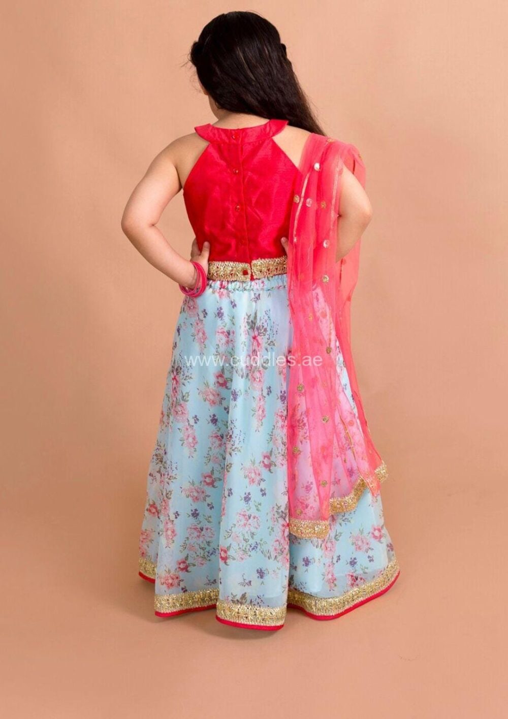 Light blue and Red floral Lehenga Choli set - Image 3