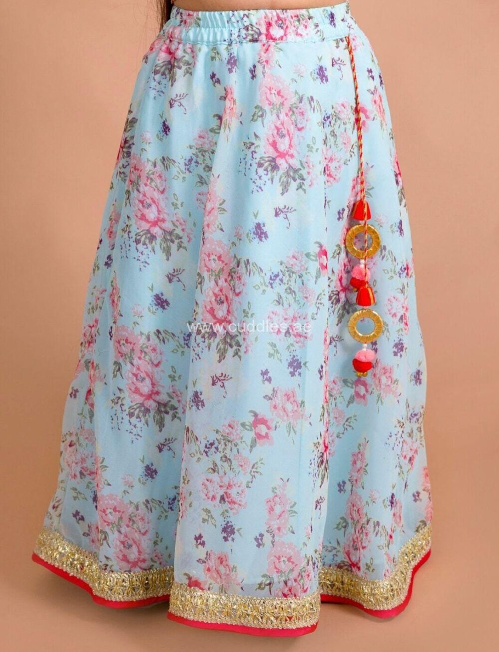 Light blue and Red floral Lehenga Choli set - Image 2